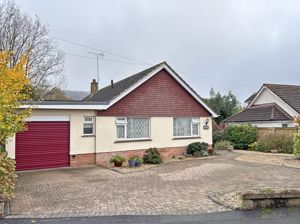 Photo 13- click for photo gallery